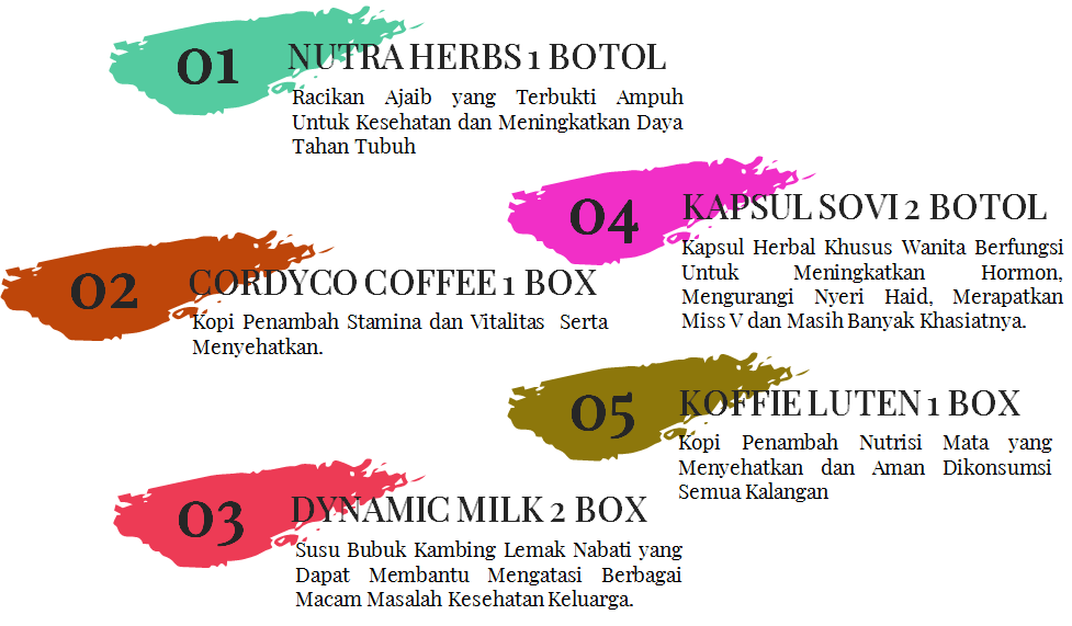 Produk Netlife Lombok Timur